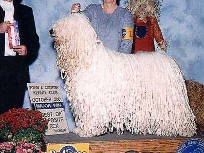 1508780593_9847_4065